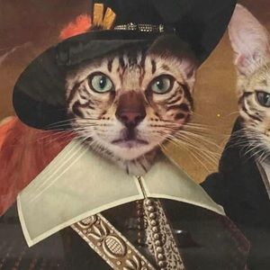 Meet your Posher, Jeanette